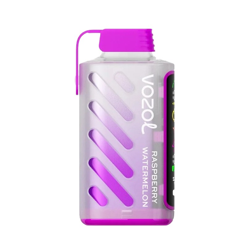 Raspberry Watermelon Vozol Gear Power 20000 - Black Coral